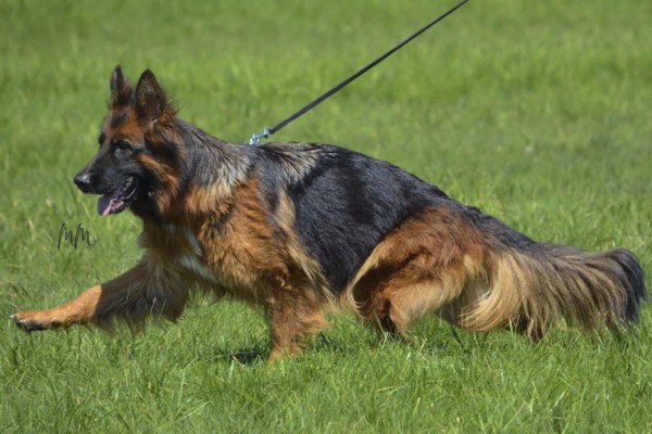 118442383_3106971856018359_780424381249092327_n