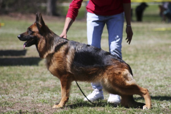 diva team huhen berg